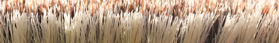 brosse